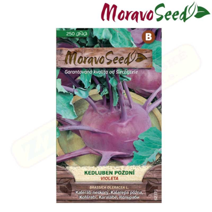 MORAVOSEED Kedluben pozdní VIOLETA, modrý 62371