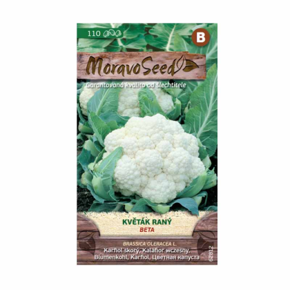 MORAVOSEED Květák raný BETA 62812