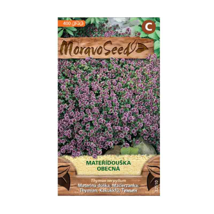 MORAVOSEED Mateřídouška obecná 32510