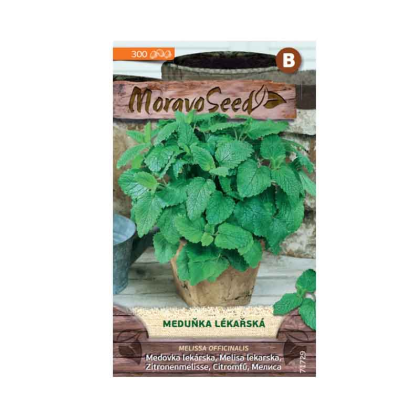 MORAVOSEED Meduňka lékařská 71729