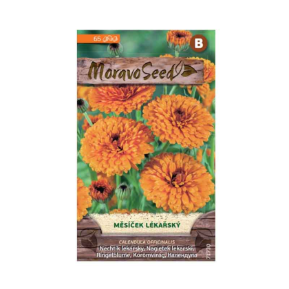 MORAVOSEED Měsíček lékařský 71730