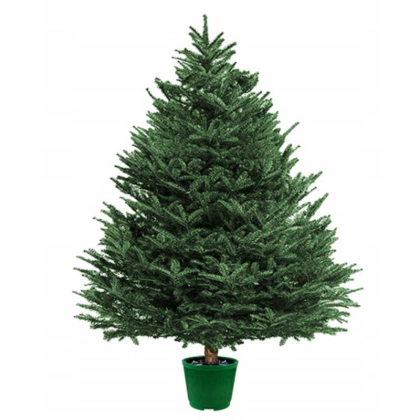 JESTIC Stojánek na vánoční stromek 10 l PH ZE, 316114/230-041